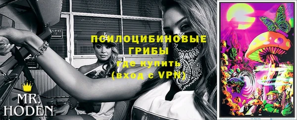 гашик Алексеевка