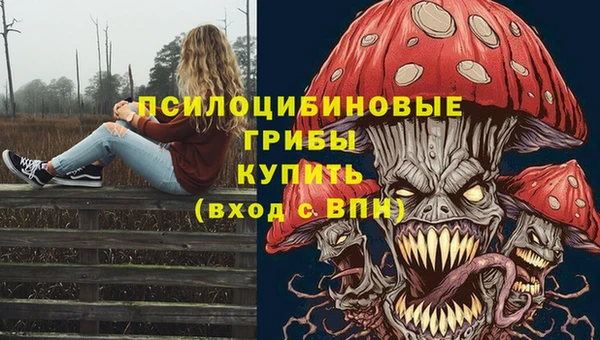 Альфа ПВП Абинск