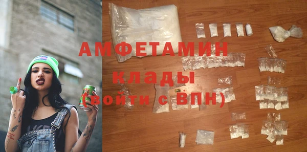 гашик Алексеевка