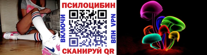 что такое   Черепаново  Псилоцибиновые грибы Psilocybe 